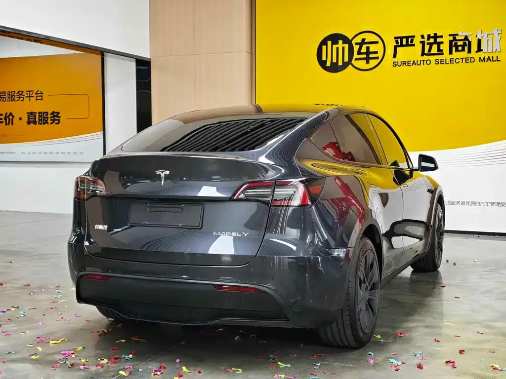 Tesla Model Y — фото 7