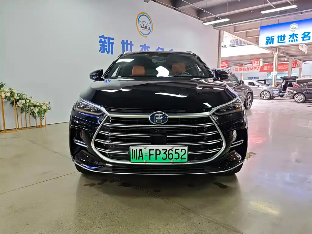 BYD Tang New Energy — фото 2