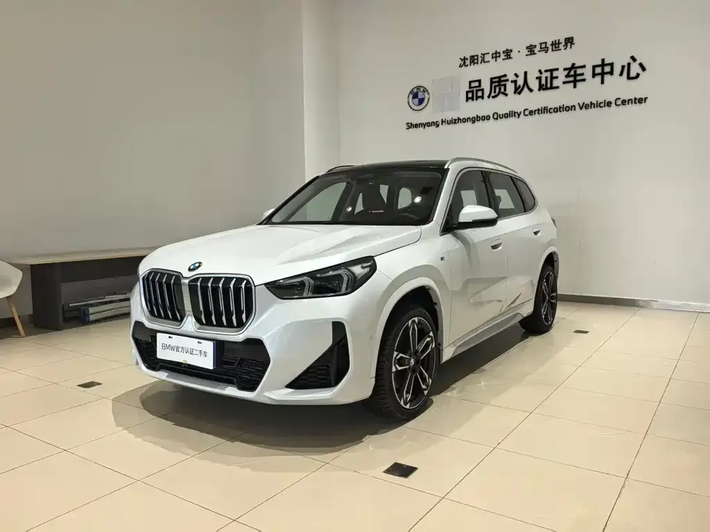 BMW X1 — фото 1
