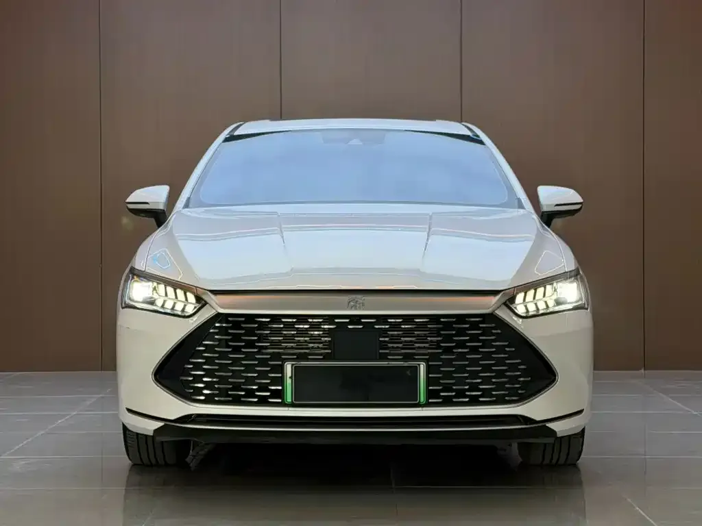 BYD Qin PLUS — фото 6