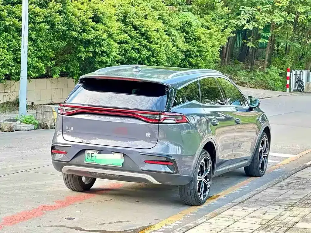BYD Tang New Energy — фото 9