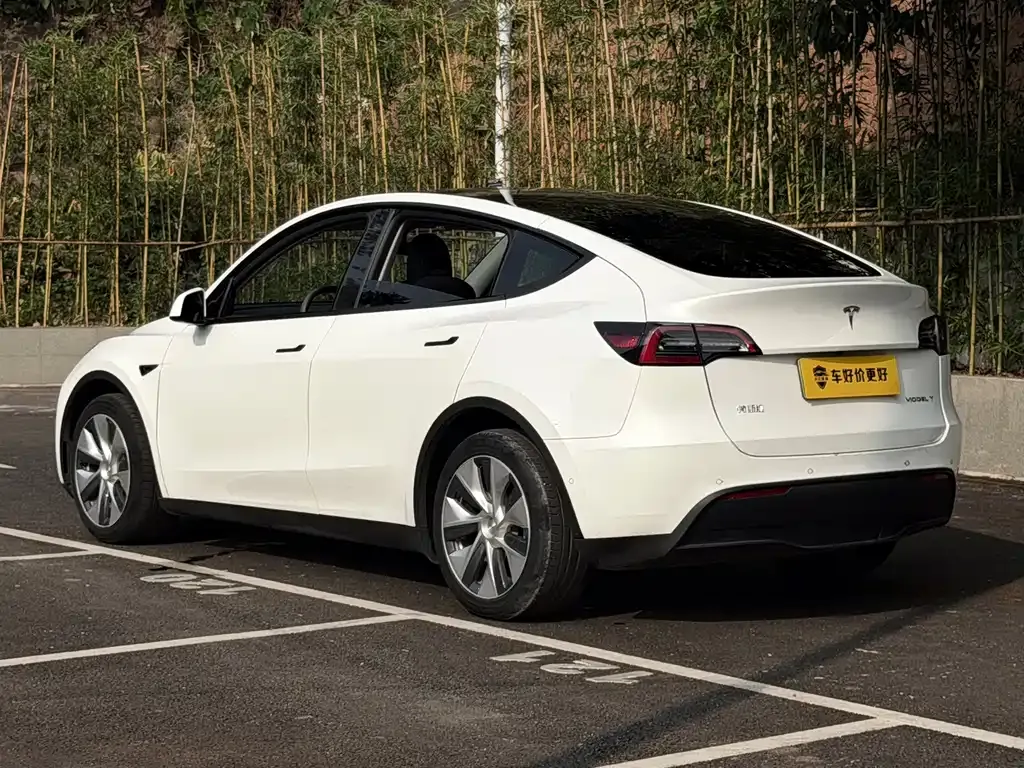 Tesla Model Y — фото 10