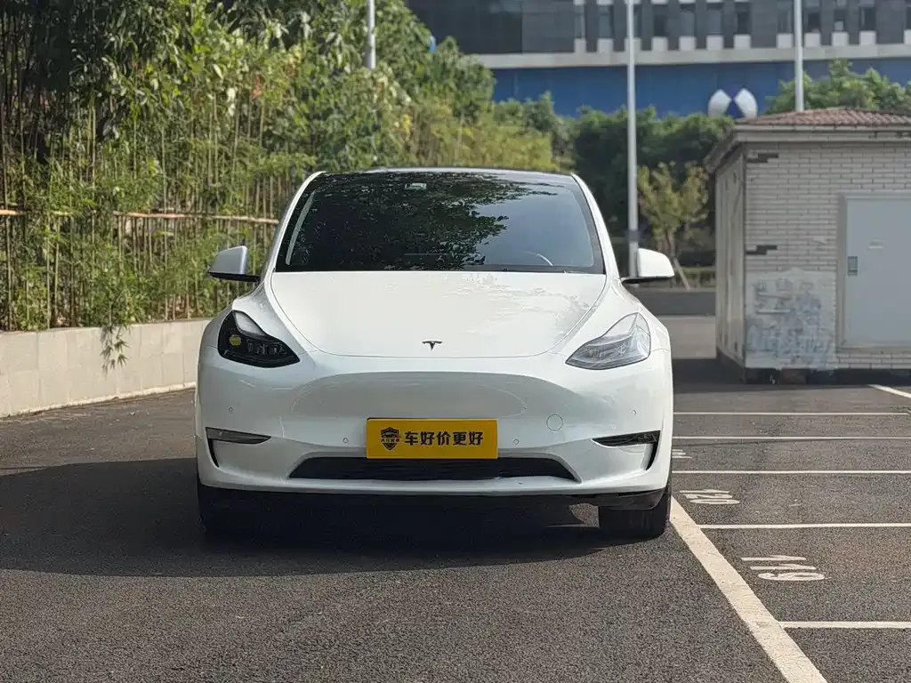 Tesla Model Y — фото 9