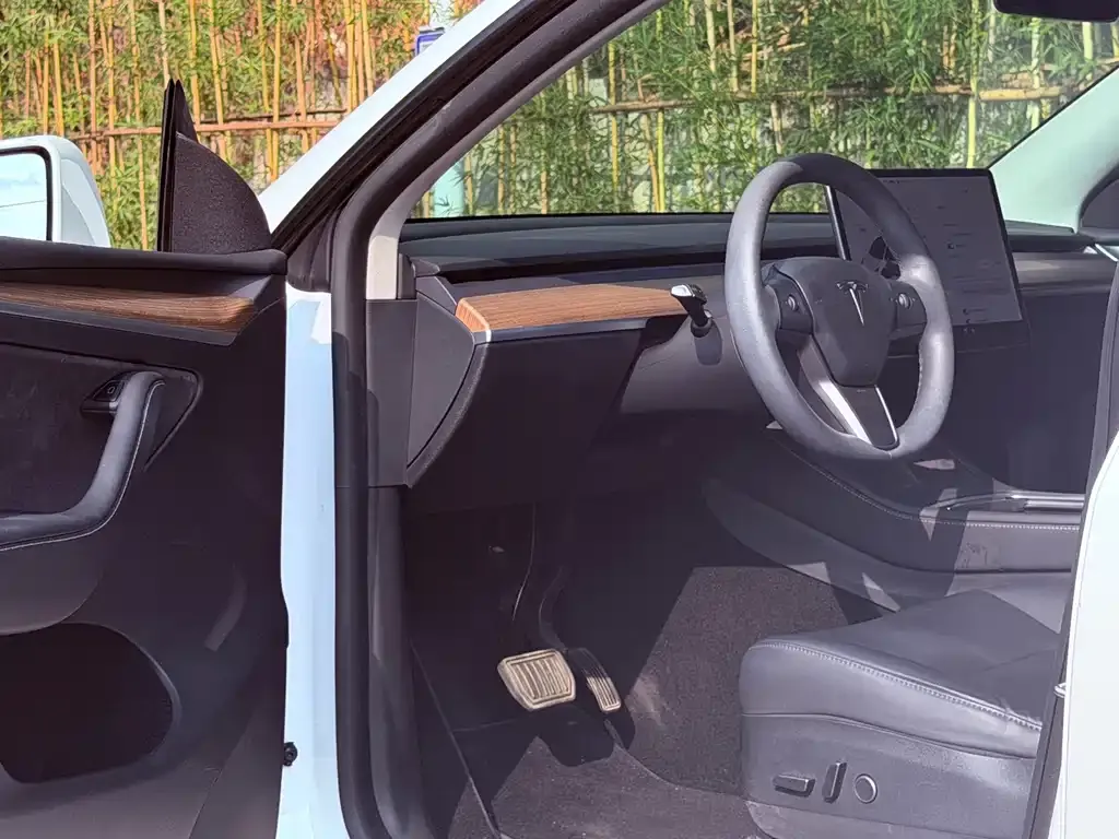 Tesla Model Y — фото 5