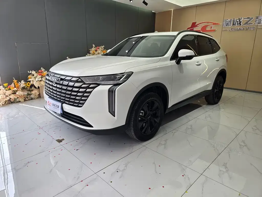 Haval H6 — фото 1