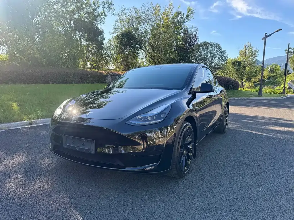 Tesla Model Y — фото 1