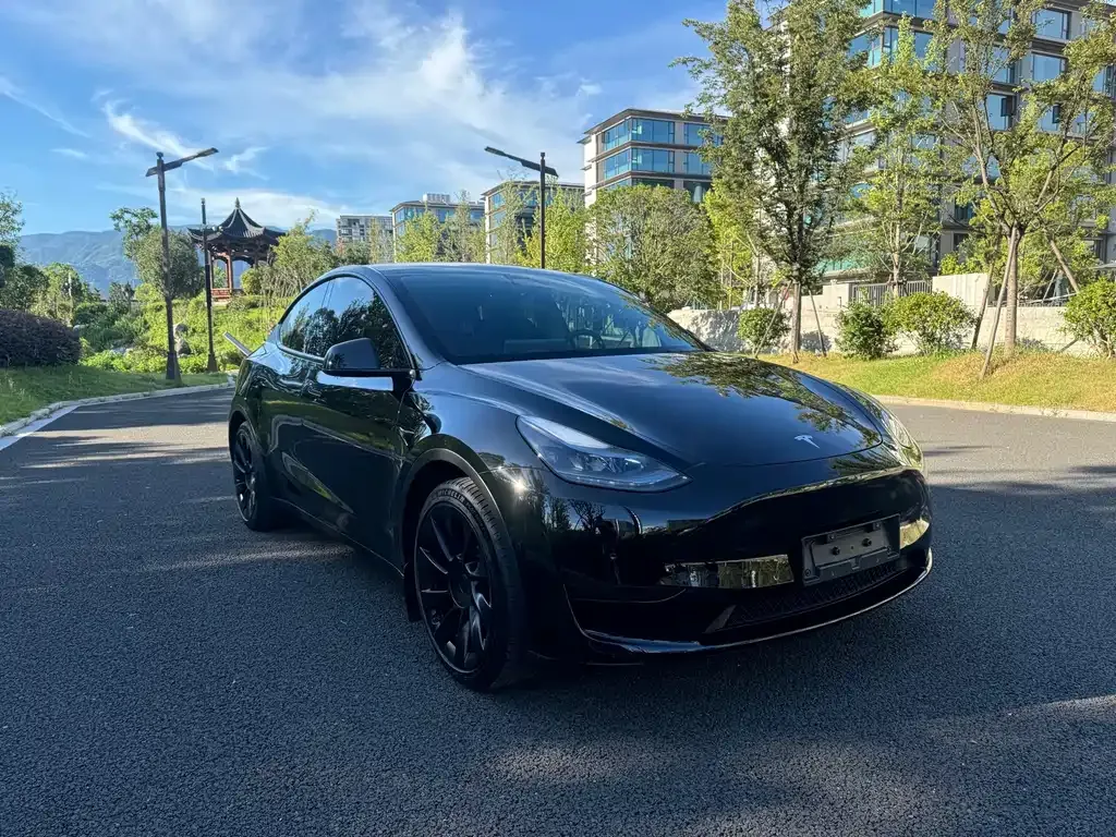 Tesla Model Y — фото 7