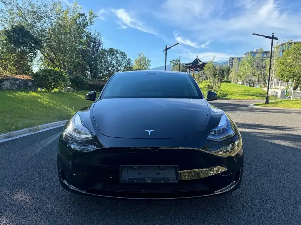 Tesla Model Y — фото 4