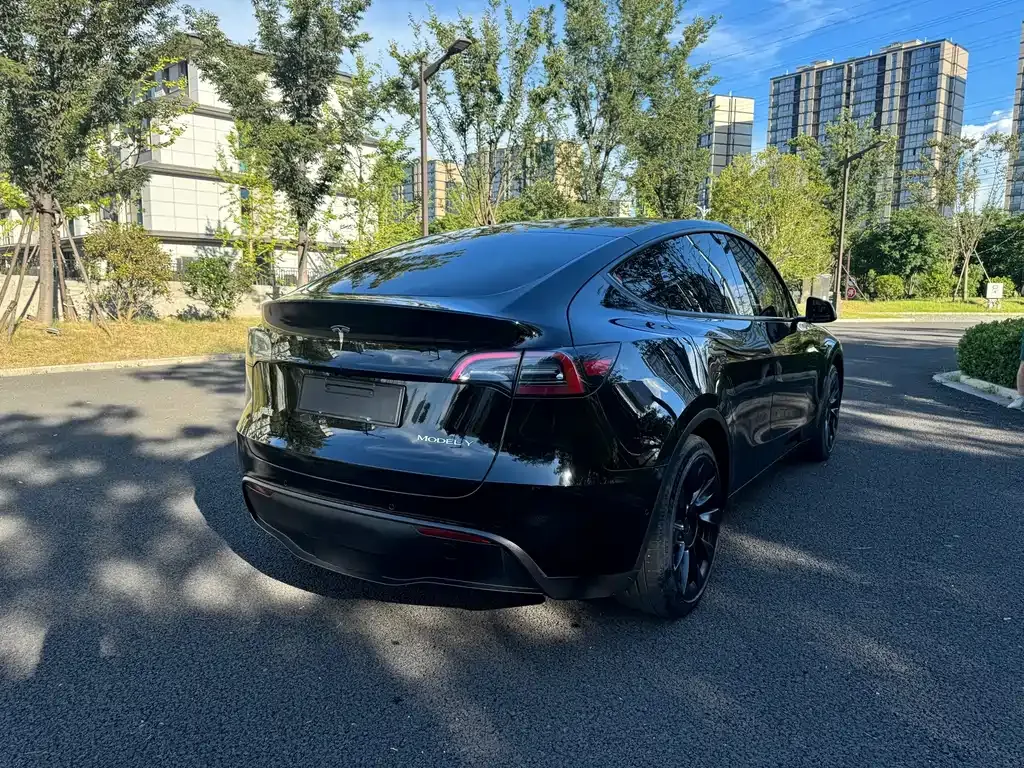 Tesla Model Y — фото 9