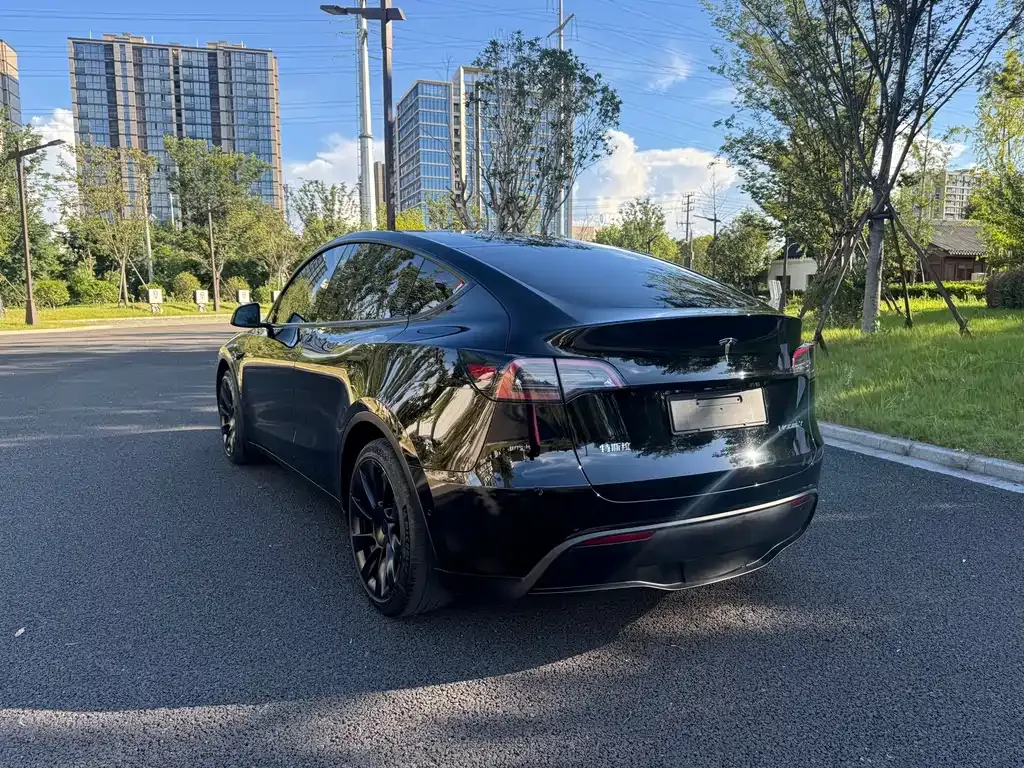 Tesla Model Y — фото 3