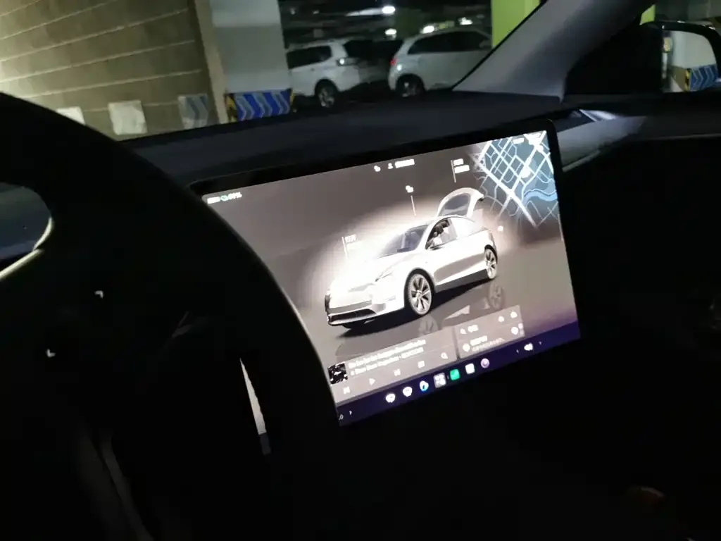 Tesla Model Y — фото 10