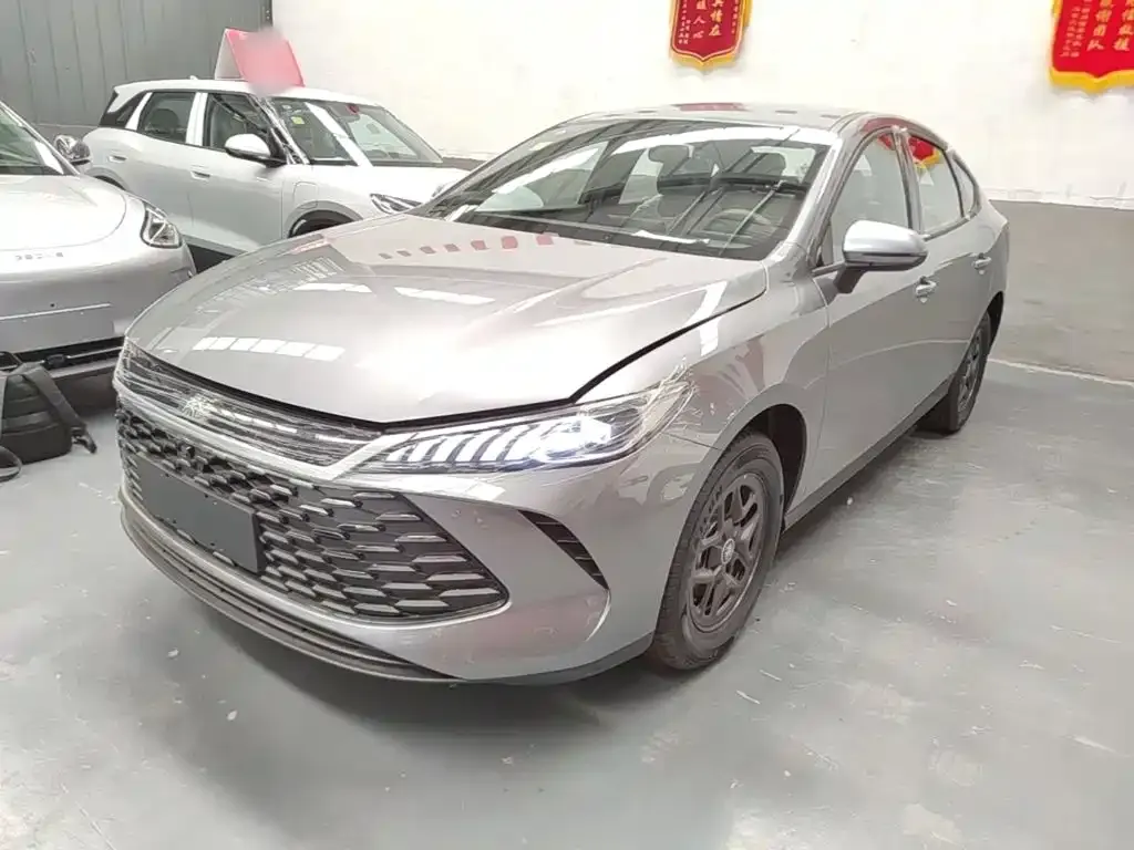 BYD Qin PLUS — фото 1