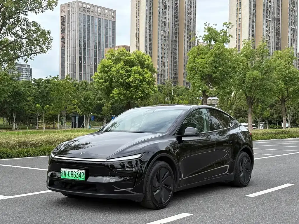 Tesla Model Y — фото 1