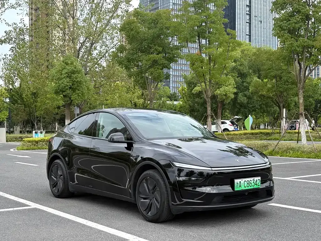 Tesla Model Y — фото 5