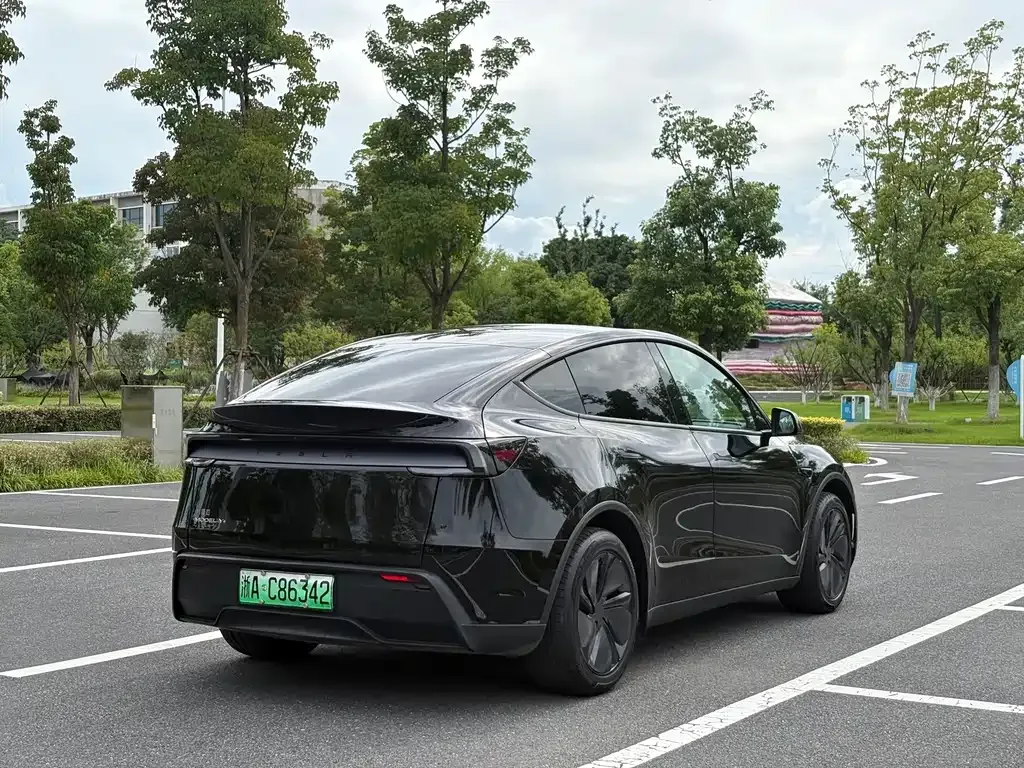 Tesla Model Y — фото 10