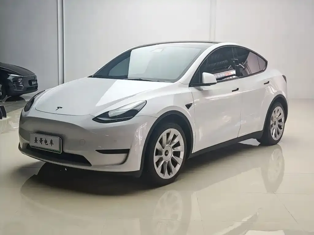 Tesla Model Y — фото 1