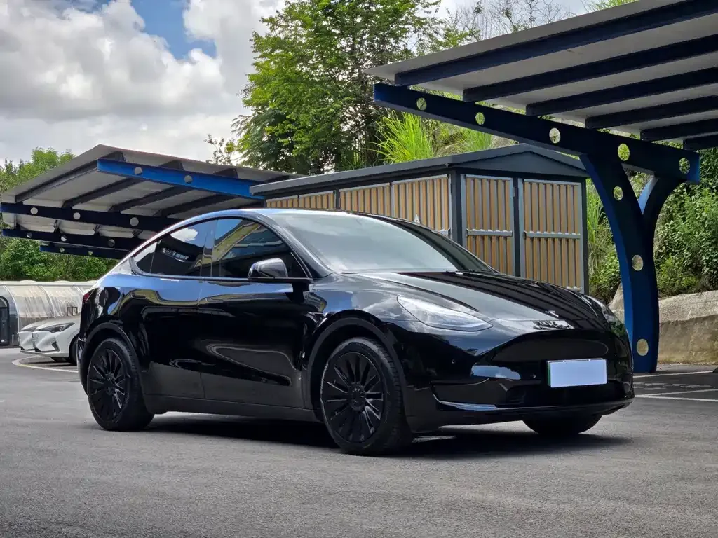 Tesla Model Y — фото 3