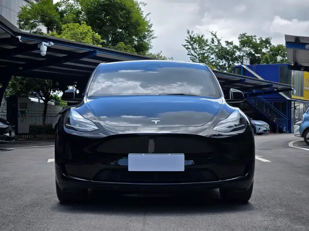Tesla Model Y — фото 5