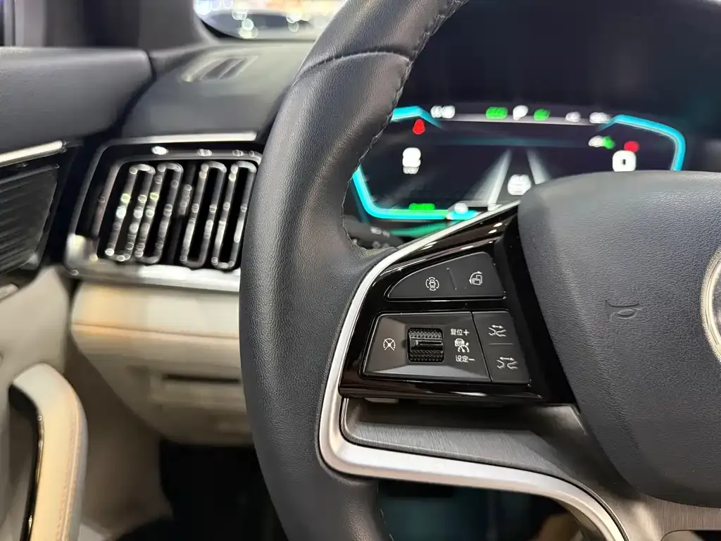 BYD PLUS New Energy — фото 10