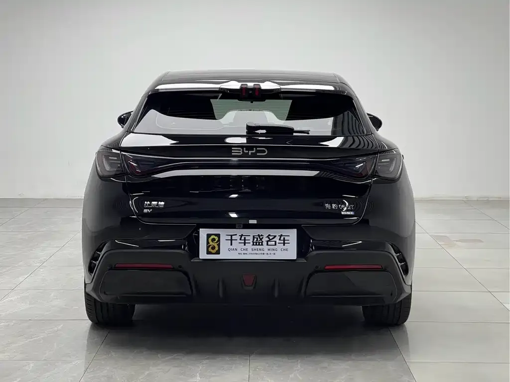 BYD Seal 06GT — фото 2