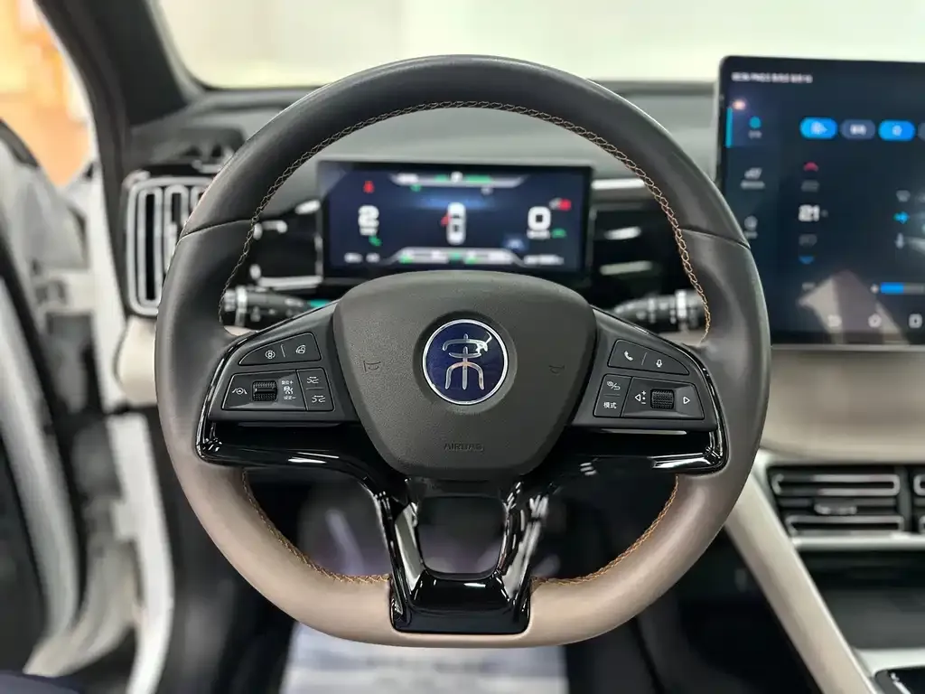 BYD Pro New Energy — фото 4