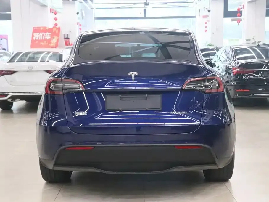 Tesla Model Y — фото 8