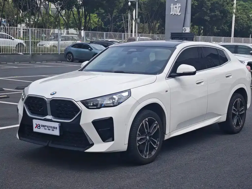 BMW X2 (Import) — фото 1