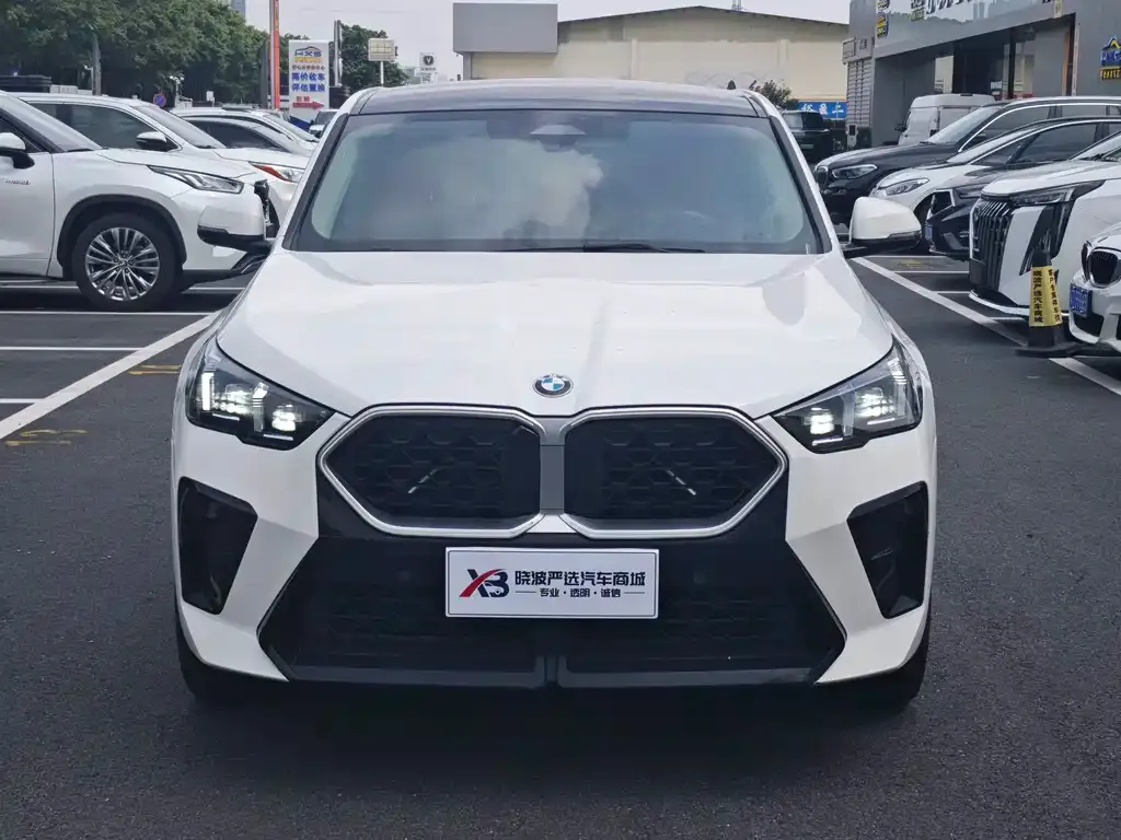 BMW X2 (Import) — фото 8