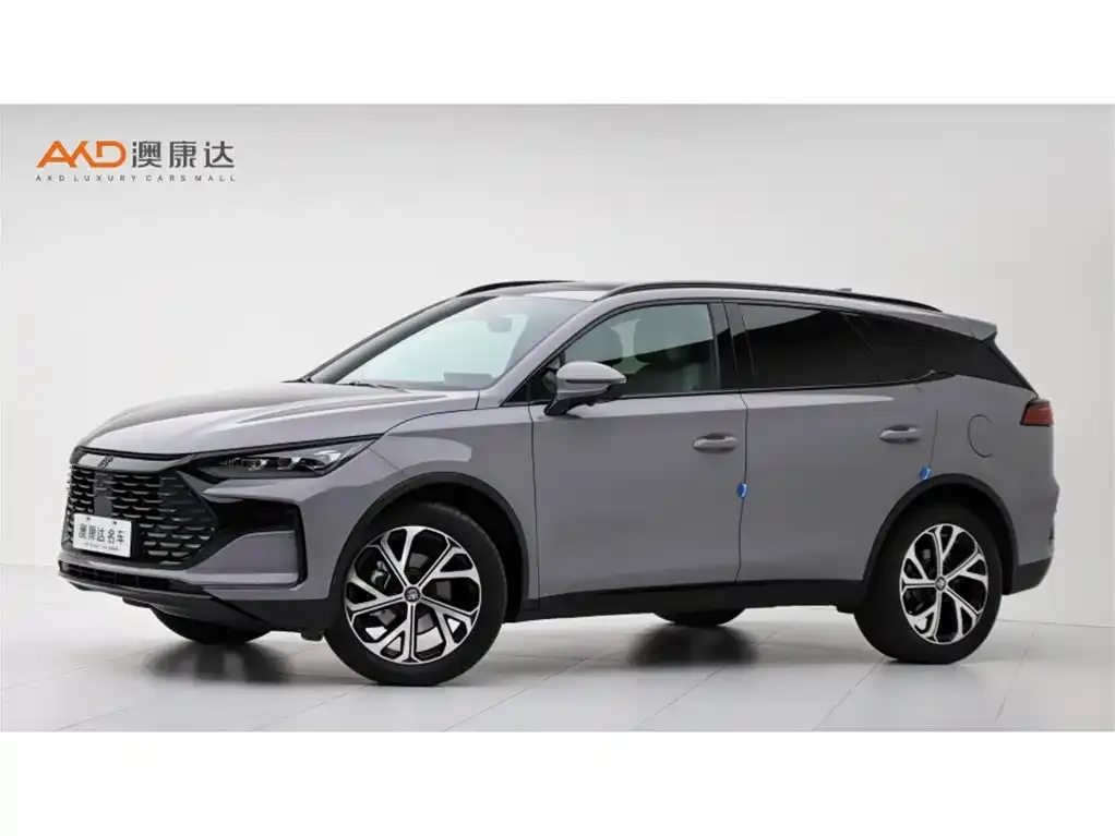BYD Tang New Energy — фото 1