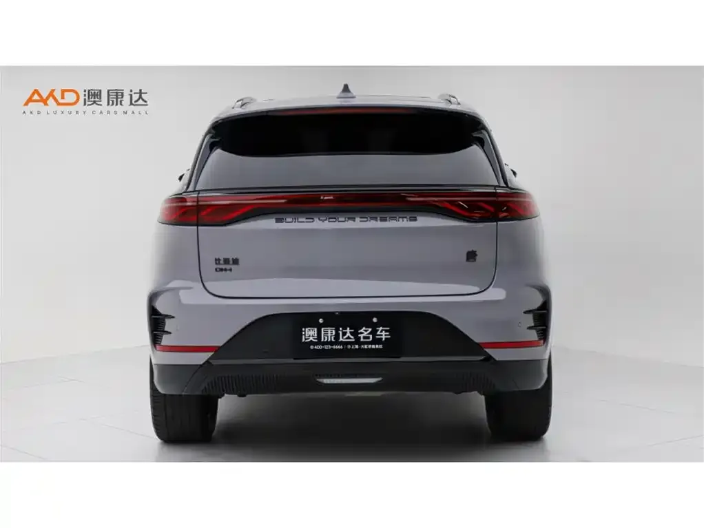 BYD Tang New Energy — фото 10