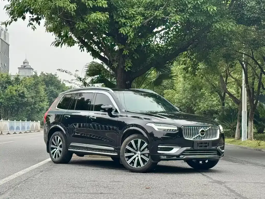 Volvo XC90 — фото 6