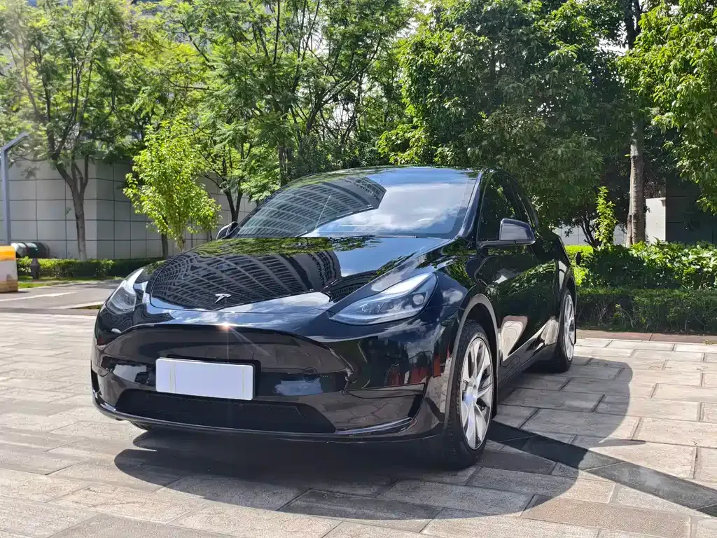 Tesla Model Y — фото 1