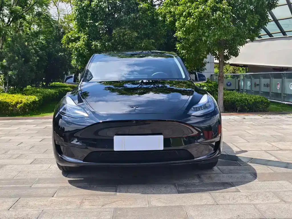 Tesla Model Y — фото 9