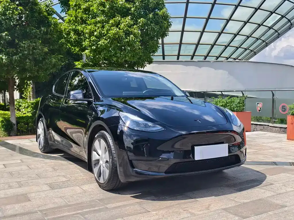 Tesla Model Y — фото 5