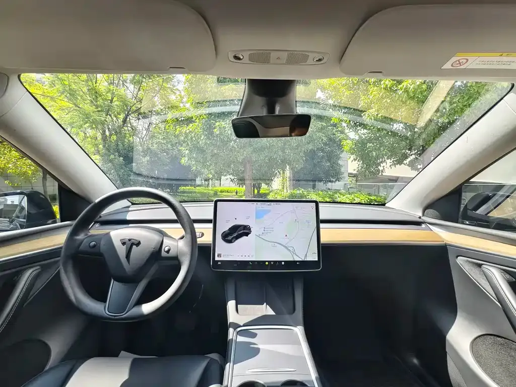 Tesla Model Y — фото 8