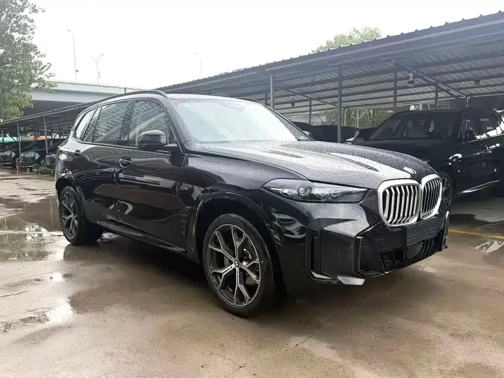 BMW X5 — фото 3