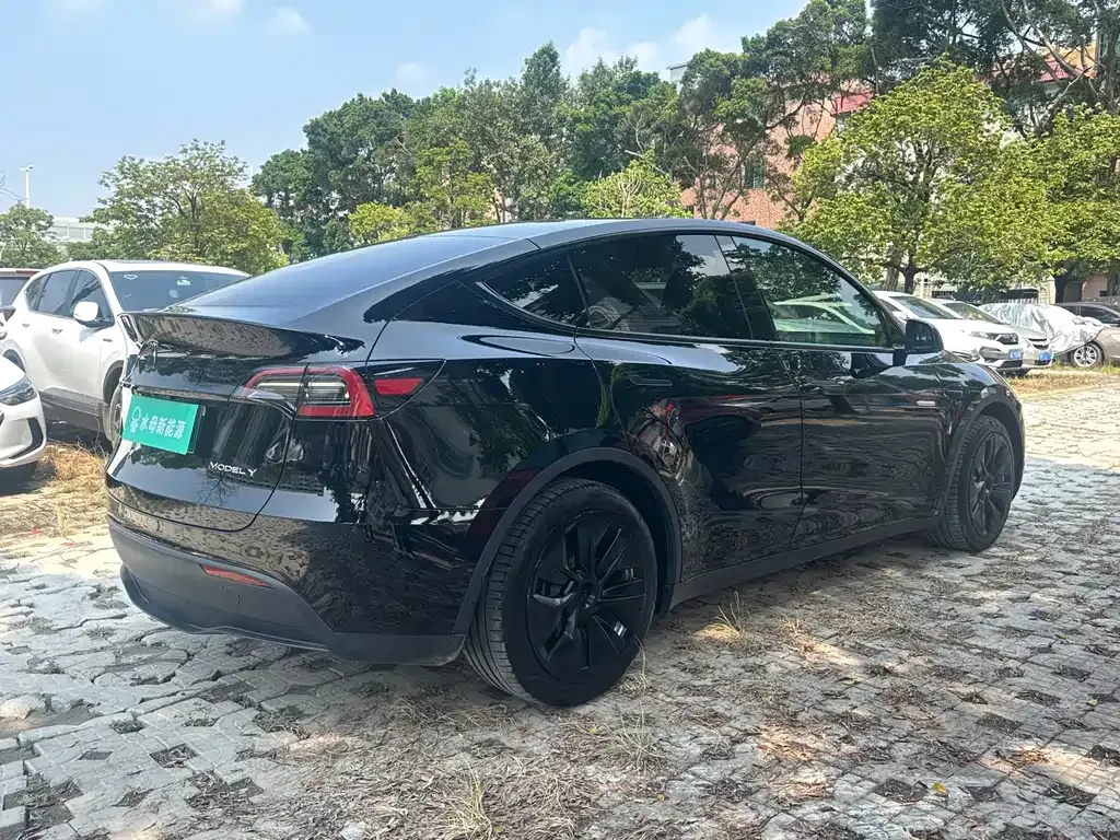 Tesla Model Y — фото 3