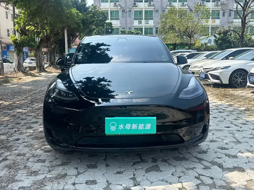 Tesla Model Y — фото 10