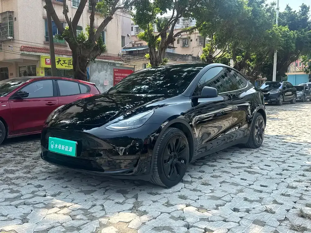 Tesla Model Y — фото 9