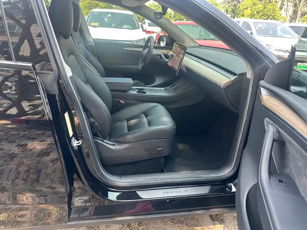 Tesla Model Y — фото 5