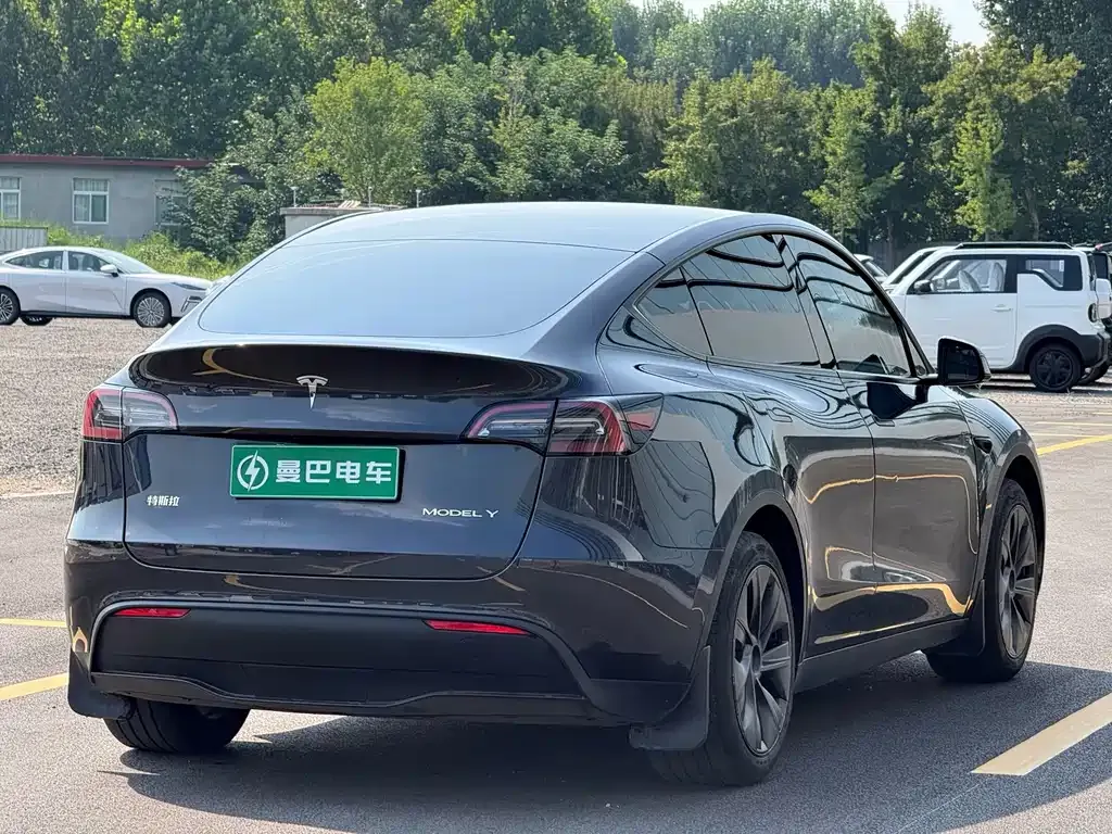 Tesla Model Y — фото 10