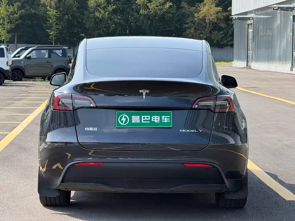 Tesla Model Y — фото 5