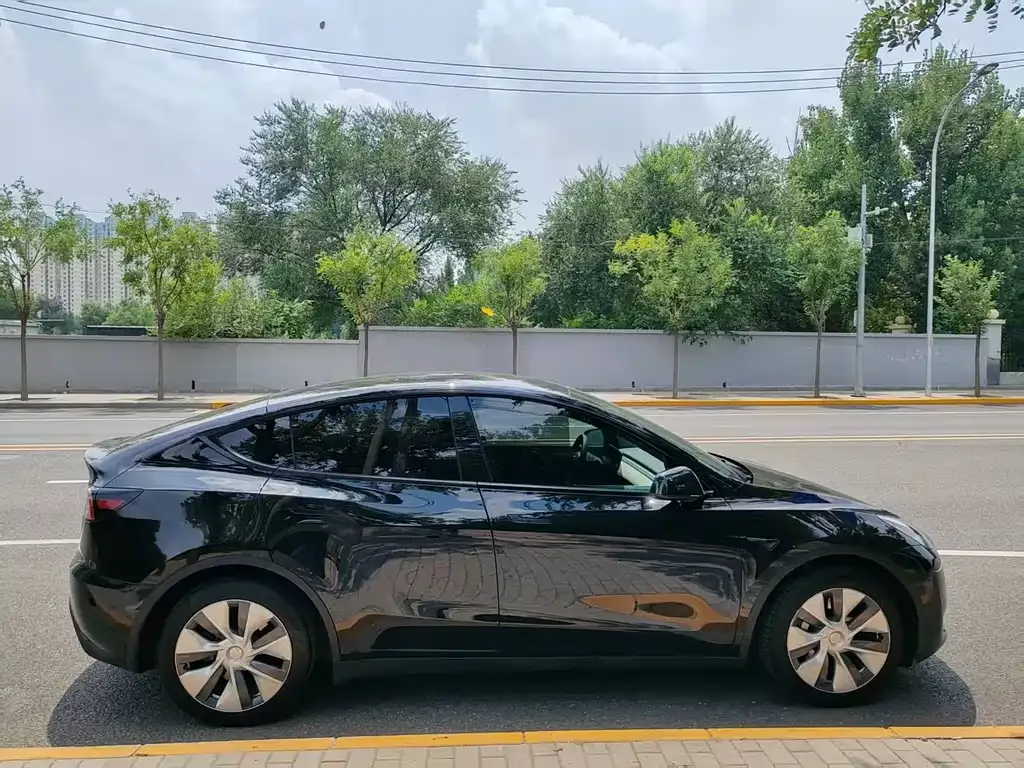 Tesla Model Y — фото 5