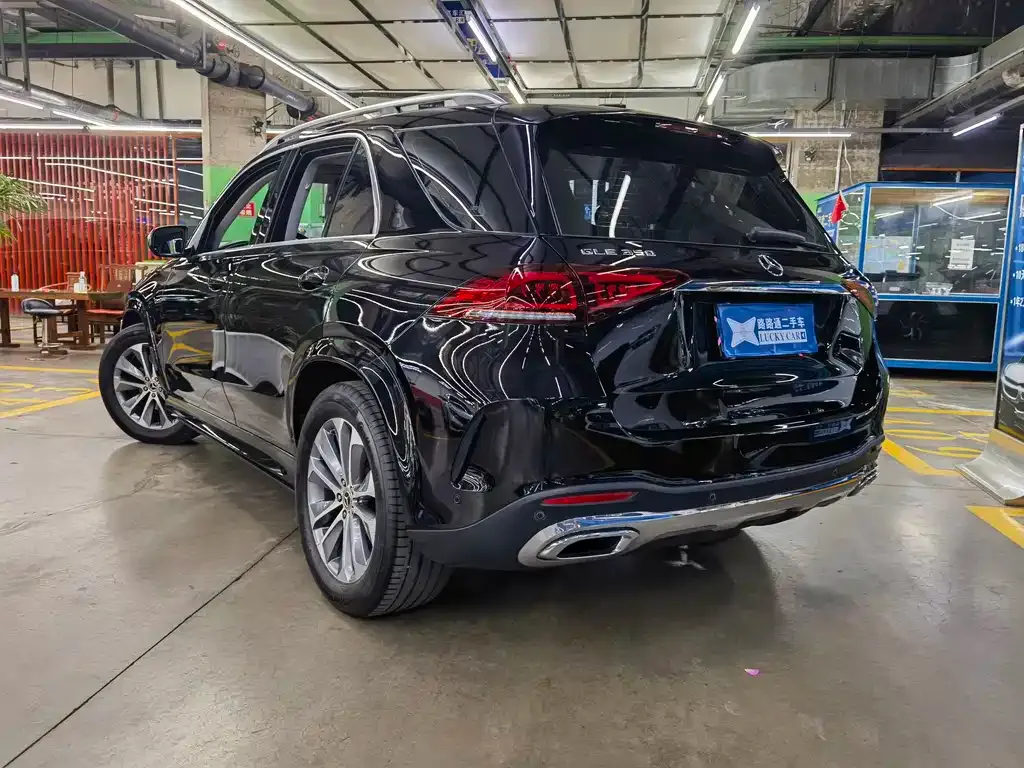 Mercedes-Benz 奔驰GLE(进口) — фото 6