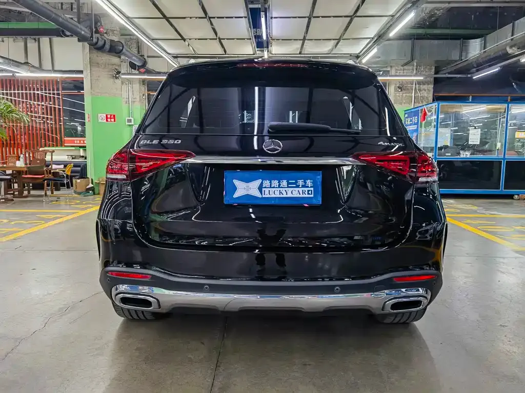 Mercedes-Benz 奔驰GLE(进口) — фото 3