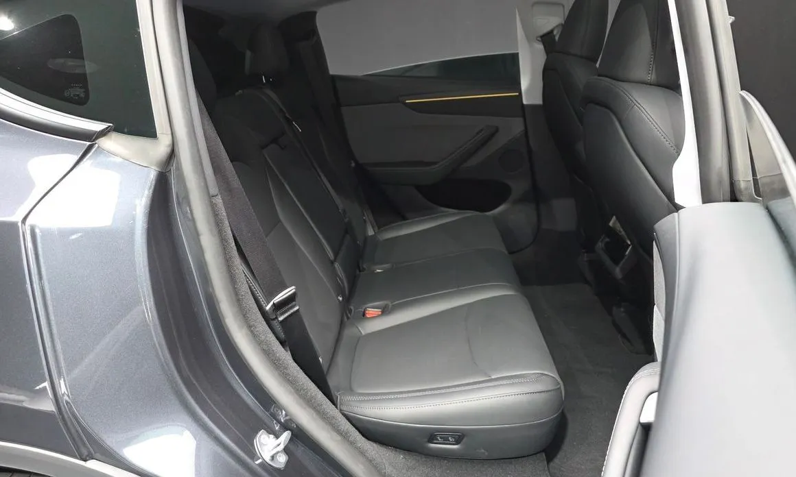 Tesla Model Y — фото 10