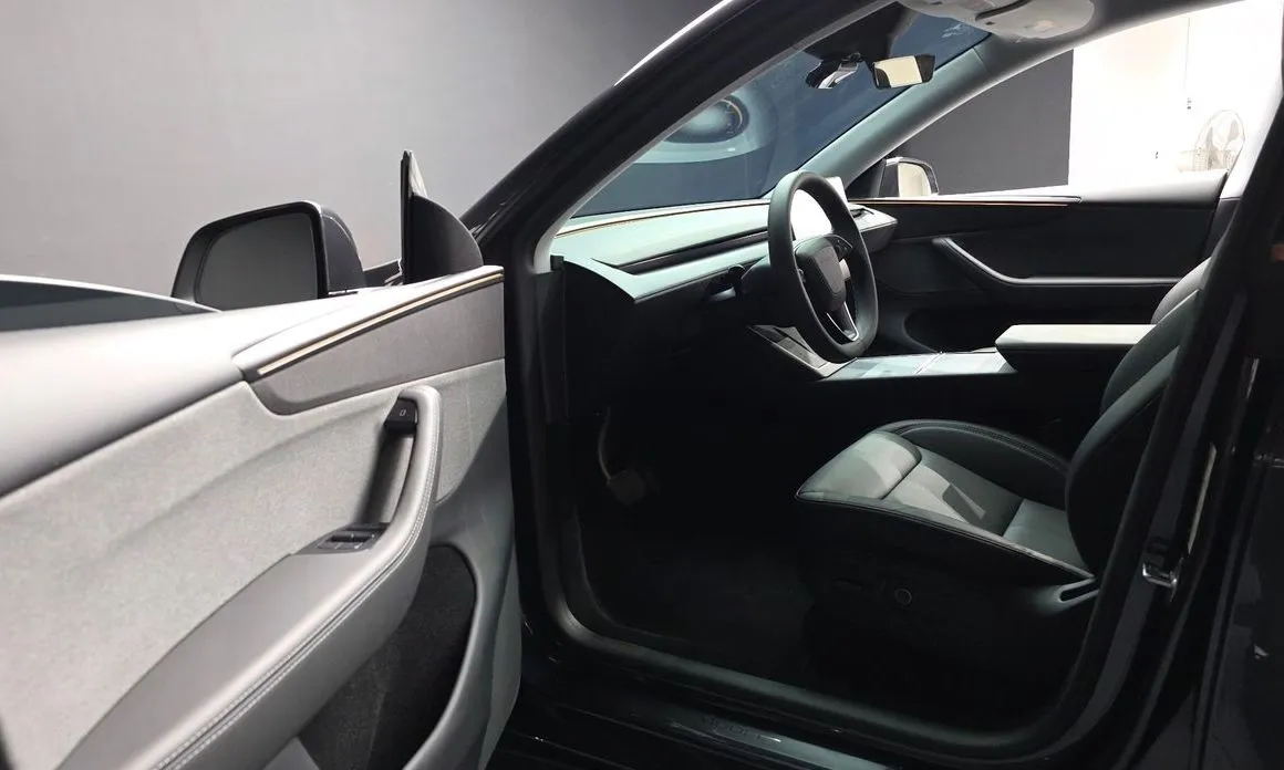 Tesla Model Y — фото 3