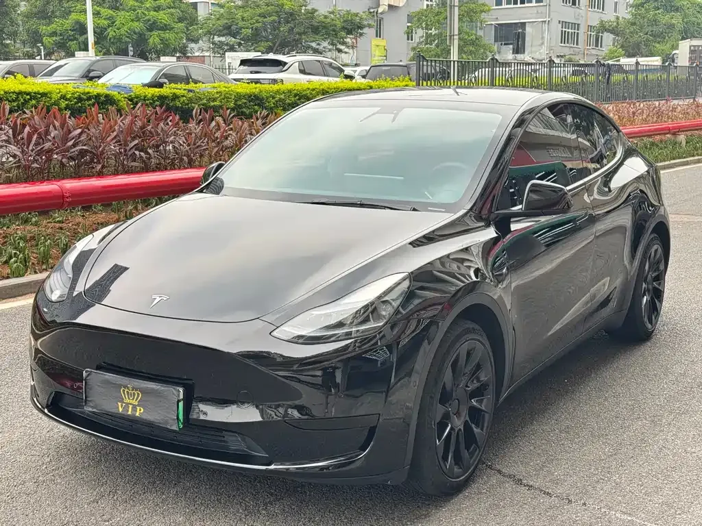 Tesla Model Y — фото 1