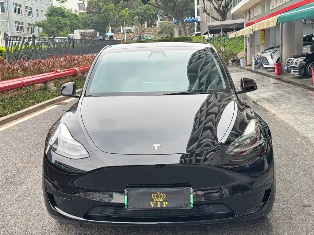 Tesla Model Y — фото 8