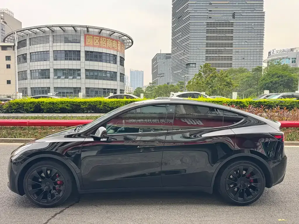 Tesla Model Y — фото 6